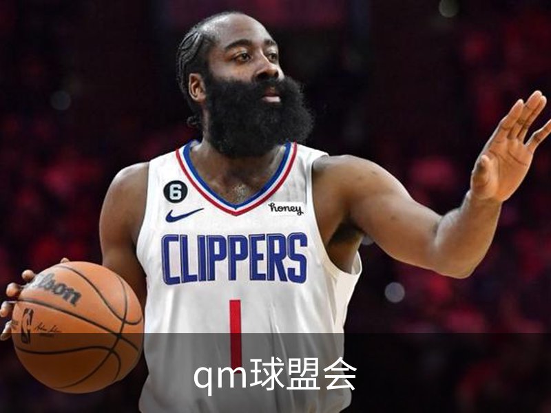 了解qm球盟会